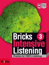 Bricks Intensive Listening 3